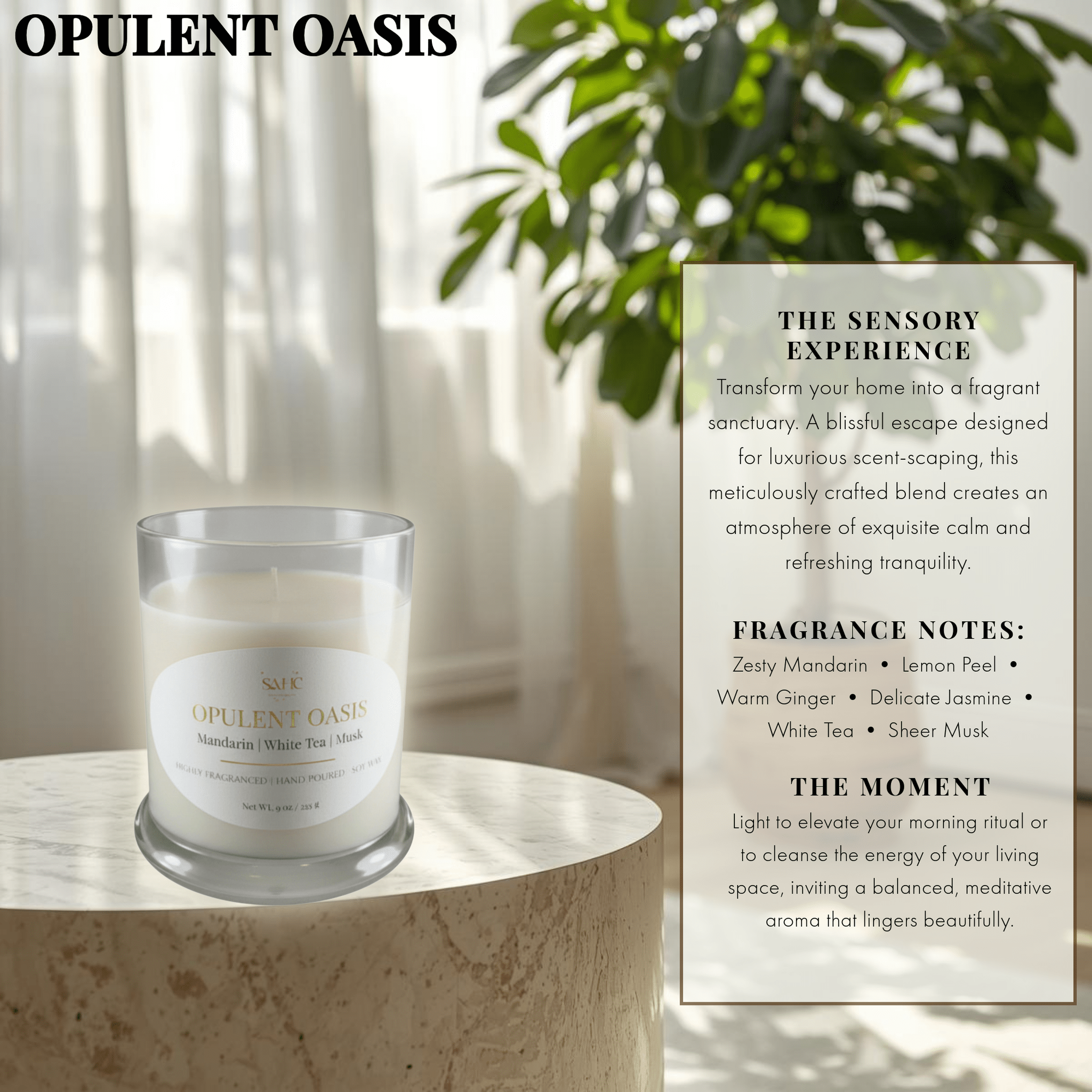 Opulent Oasis | Premium Soy Candle